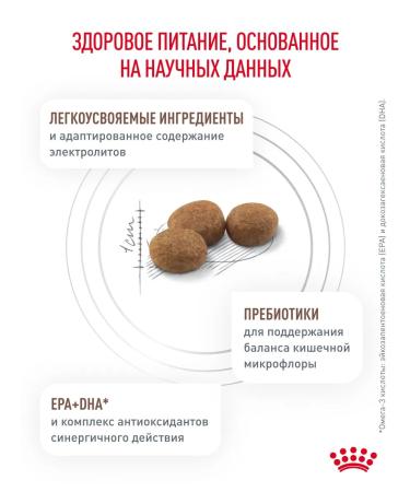 ROYAL CANIN Dry food for dogs of small breeds GastroinTestinal 1 kg - Buy Online on GoSupps.com