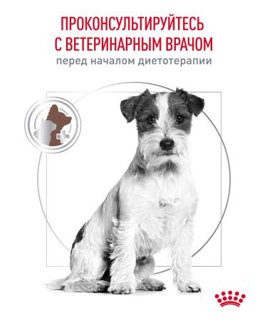 ROYAL CANIN Dry food for dogs of small breeds GastroinTestinal 1 kg - Buy Online on GoSupps.com