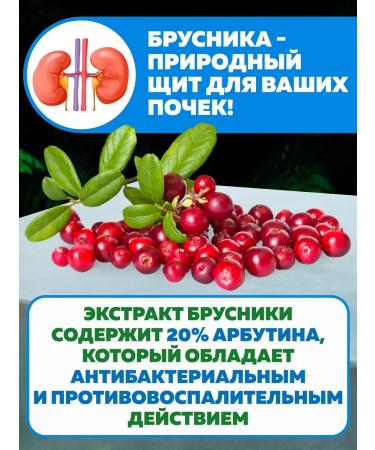 thio-phane Tiofan phyto-concentrate "Antioxidant" - Buy Online on GoSupps.com