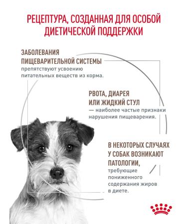 ROYAL CANIN Dry food for dogs of small breeds GastroinTestinal 3 kg - Buy Online on GoSupps.com