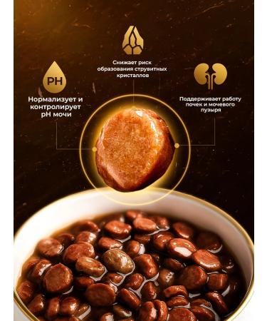 SECRET FOR PETS Urinary food for treatment with ICD with lamb 85 g x 24 pcs - Buy Online on GoSupps.com