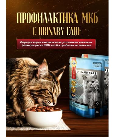 SECRET FOR PETS Urinary food for treatment with ICD with lamb 85 g x 24 pcs - Buy Online on GoSupps.com