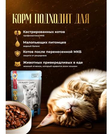 SECRET FOR PETS Urinary food for treatment with ICD with lamb 85 g x 24 pcs - Buy Online on GoSupps.com