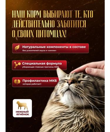 SECRET FOR PETS Urinary food for treatment with ICD with lamb 85 g x 24 pcs - Buy Online on GoSupps.com