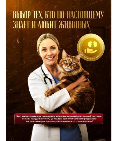 SECRET FOR PETS Urinary food for treatment with ICD with lamb 85 g x 24 pcs - Buy Online on GoSupps.com