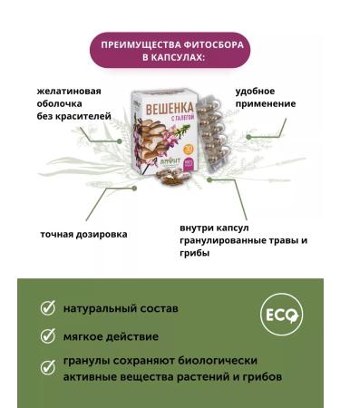 ALFIT Galeg's oyster mushroom - Buy Online on GoSupps.com