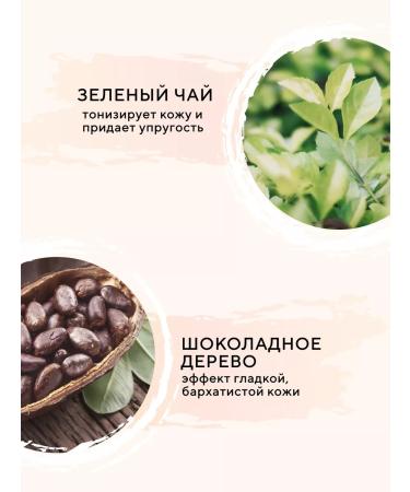 EVELINE Podra compact BEAUTY Line velvety No. 13 Natural 9 gr. - Buy Online on GoSupps.com