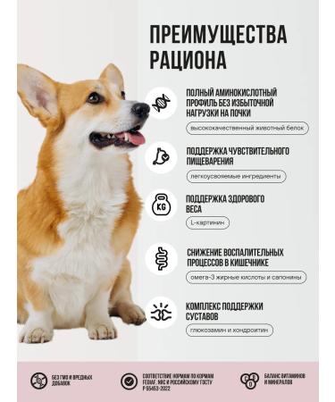 BOWL WOW Dog food dry for medium breeds 2 kg - Buy Online on GoSupps.com