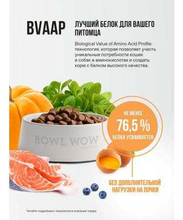 BOWL WOW Dog food dry for large breeds 2 kg - Buy Online on GoSupps.com