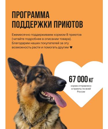 BOWL WOW Dog food dry for large breeds 2 kg - Buy Online on GoSupps.com