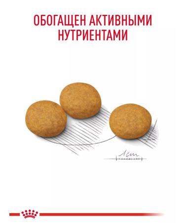 Royal Canin Dry food for dogs of medium breeds Dermacomfort 10 kg - Buy Online on GoSupps.com