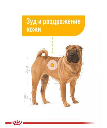 Royal Canin Dry food for dogs of medium breeds Dermacomfort 10 kg - Buy Online on GoSupps.com