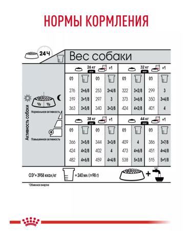 Royal Canin Dry food for dogs of large breeds Dermacomfort 10 kg - Buy Online on GoSupps.com