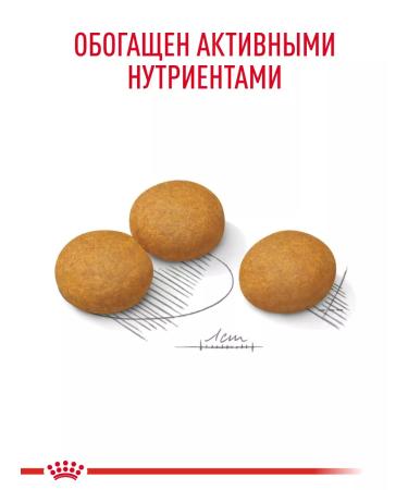 Royal Canin Dry food for dogs of large breeds Dermacomfort 10 kg - Buy Online on GoSupps.com