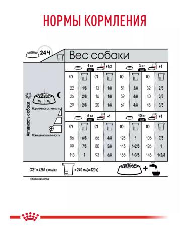 ROYAL CANIN Dry food for dogs of small breeds Mini Digestive Care 1 kg - Buy Online on GoSupps.com