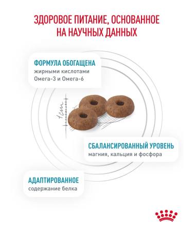 Royal Canin Dry Therapeutic food for cats Skin & Coat 3.5 kg - Buy Online on GoSupps.com