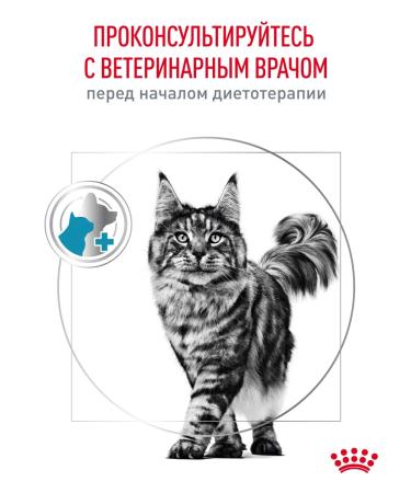 Royal Canin Dry Therapeutic food for cats Skin & Coat 3.5 kg - Buy Online on GoSupps.com