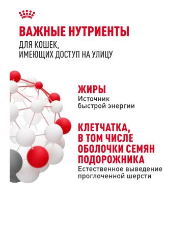 ROYAL CANIN Dry food for cats with moderate activity Fit 32 200 g - Buy Online on GoSupps.com