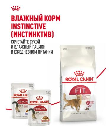 ROYAL CANIN Dry food for cats with moderate activity Fit 32 200 g - Buy Online on GoSupps.com