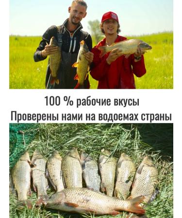 Astrakhan catch Curuled cake cookie - pomp with a taste of strawberries 12pcs - Buy Online on GoSupps.com