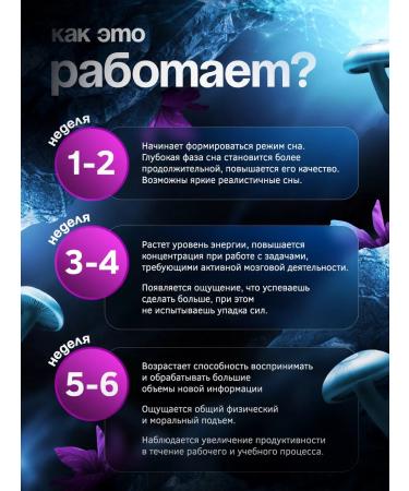 Angel Healthy Ezhovik Channel Capsules 500 mg 400 pcs - Buy Online on GoSupps.com