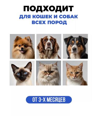 Spets Shampoo from fleas and ticks for cats and dogs 1 liter - Buy Online on GoSupps.com