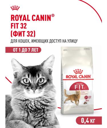 Royal Canin Dry food for cats with moderate activity Fit 32 400 g