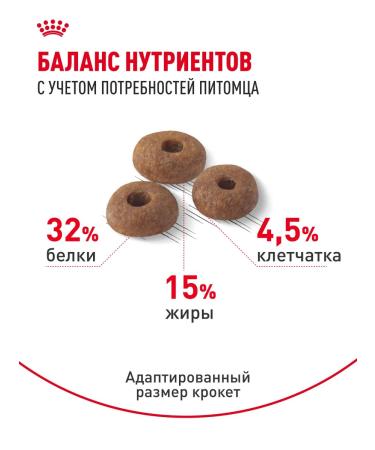 ROYAL CANIN Dry food for cats with moderate activity Fit 32 2 kg - Buy Online on GoSupps.com