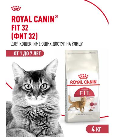 ROYAL CANIN Dry food for cats with moderate activity FIT 32 4 kg
