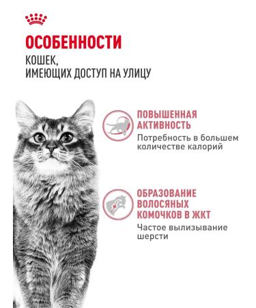 ROYAL CANIN Dry food for cats with moderate activity FIT 32 4 kg - Buy Online on GoSupps.com