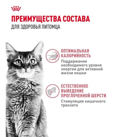 ROYAL CANIN Dry food for cats with moderate activity FIT 32 4 kg - Buy Online on GoSupps.com