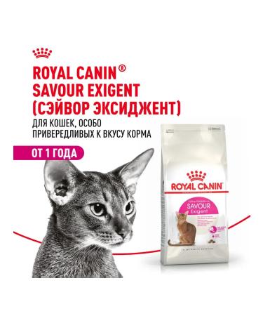 ROYAL CANIN Dry food Savour Exigent for fastidious cats 0.4 kg 2pcs - Buy Online on GoSupps.com