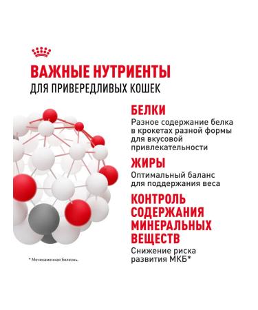 ROYAL CANIN Dry food Savour Exigent for fastidious cats 0.4 kg 2pcs - Buy Online on GoSupps.com