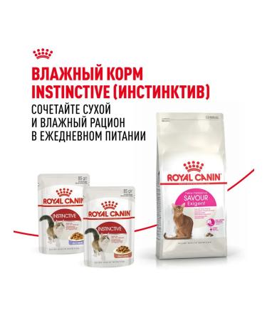 ROYAL CANIN Dry food Savour Exigent for fastidious cats 0.4 kg 2pcs - Buy Online on GoSupps.com