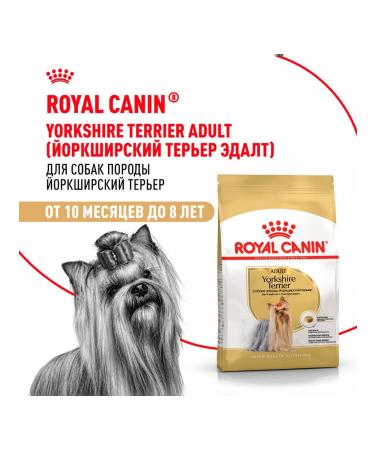 ROYAL CANIN Feed Yorkshire Terrier dogs Yorkshire Terrier 3 kg 2 pcs - Buy Online on GoSupps.com