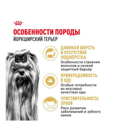 ROYAL CANIN Feed Yorkshire Terrier dogs Yorkshire Terrier 3 kg 2 pcs - Buy Online on GoSupps.com