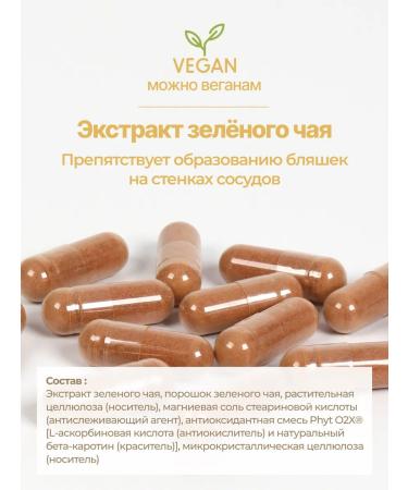 Solgar Extract of Green Tea # 60 - Buy Online on GoSupps.com