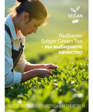 Solgar Extract of Green Tea # 60 - Buy Online on GoSupps.com