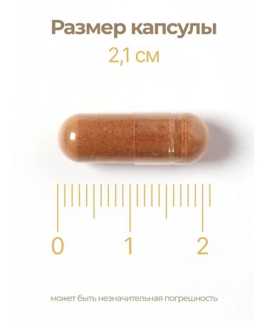 Solgar Extract of Green Tea # 60 - Buy Online on GoSupps.com