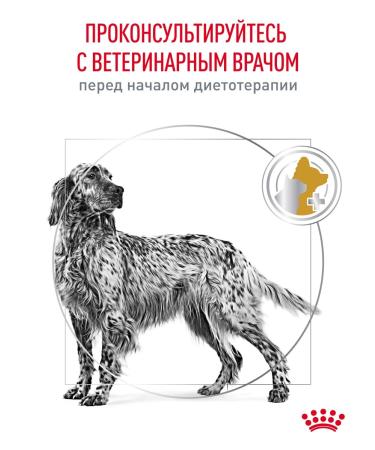 ROYAL CANIN Dry food for dogs Urinary S o therapeutic 2 kg - Buy Online on GoSupps.com