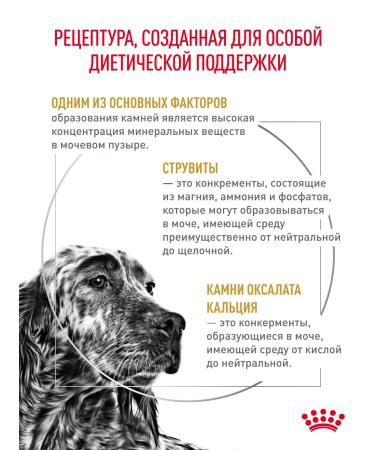 Royal Canin Dry food for dogs Urinary S o therapeutic 13 kg - Buy Online on GoSupps.com