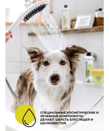 iv san bernard Ginger shampoo for any wool from dandruff 500 ml - Buy Online on GoSupps.com