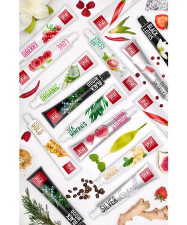 SPLAT Blackwood toothpaste maximum freshness of breathing 75ml x 2pcs - Buy Online on GoSupps.com