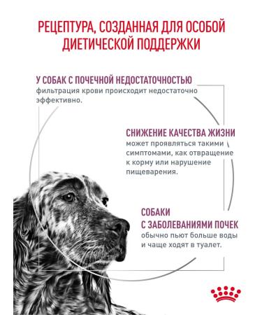 ROYAL CANIN Dry food for dogs to maintain renal 2 kg - Buy Online on GoSupps.com