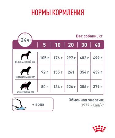 ROYAL CANIN Dry food for dogs to maintain renal 2 kg - Buy Online on GoSupps.com