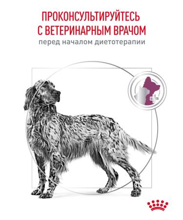 ROYAL CANIN Dry food for dogs to maintain renal 2 kg - Buy Online on GoSupps.com