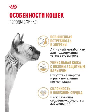 Royal Canin Dry food for cats sphinx ADULT 400 g - Buy Online on GoSupps.com