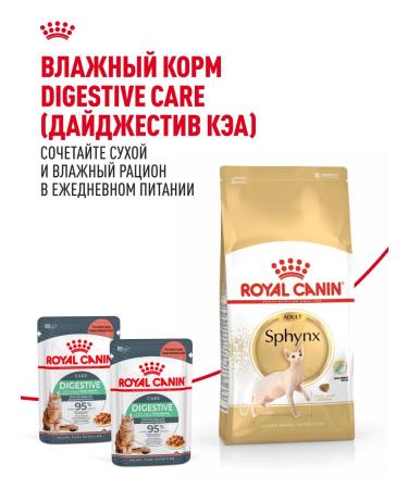 Royal Canin Dry food for cats sphinx ADULT 400 g - Buy Online on GoSupps.com
