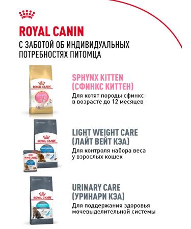 Royal Canin Dry food for cats sphinx ADULT 2 kg - Buy Online on GoSupps.com