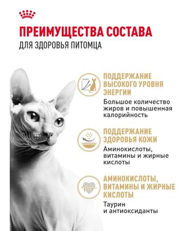 Royal Canin Dry food for cats sphinx ADULT 2 kg - Buy Online on GoSupps.com